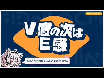【日記】V感の次はE感