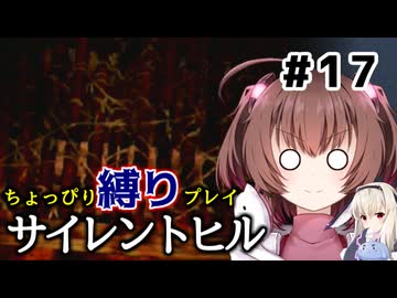 ちょっぴり縛りで【サイレントヒル】を一人と一羽がプレイ part17