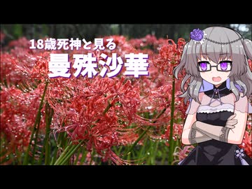 18歳死神と見る彼岸花