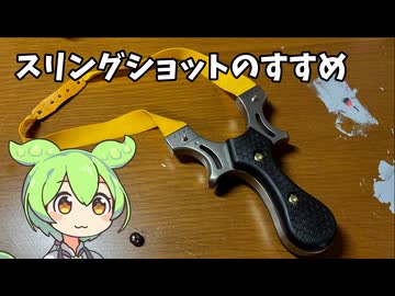スリングショットのすすめ～免許不要で気軽にできる的当て遊戯～【ずんだもん解説】