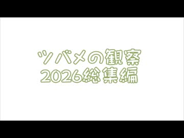 つばめの観察2026総集編