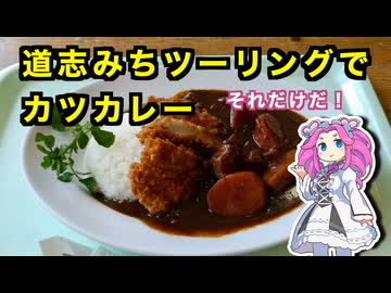 道志みちツーリングでカツカレー それだけだ【VOICEVOX車載】