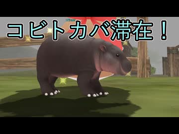 【#マスターオブエピック / #MasterofEpic /  #MoE】コビトカバが滞在してきました！【実況】