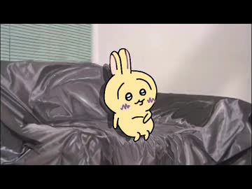 うさぎ先輩