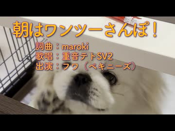 朝はワンツーさんぽ！ / maroki feat. 重音テトSV2