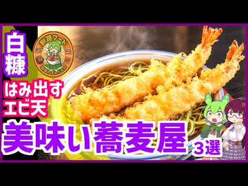 【デカすぎ！器からはみ出す大エビ天そば】白糠・美味い地元蕎麦屋3選【釧路のずんだもん】