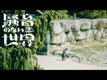 [Music] 迷い子 - 騒音のない世界