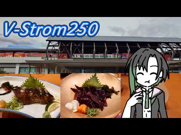【V-Strom250】四国旅2日目