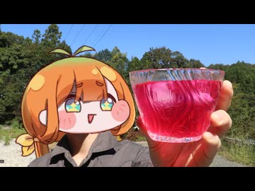 紫蘇ジュース作るよ！