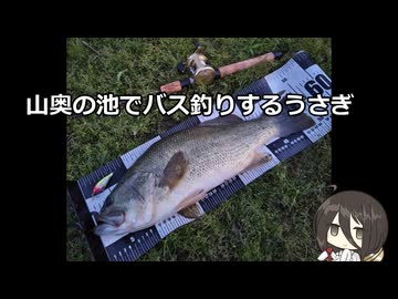 山奥の池でブラックバスを釣る中国うさぎ【VOICEROIDフィッシング】