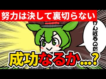 テーブルクロス引き　43日目