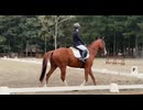 ミズカゼくん！RRC馬場