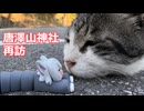 唐澤山神社再訪