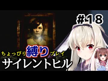 ちょっぴり縛りで【サイレントヒル】を一人と一羽がプレイ part18