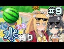 【スーパーマリオサンシャイン】みゃーまいは水が苦手part9【マキモカ実況プレイ】