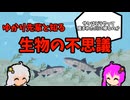 【VOICEROID解説】ゆかり先輩と知る生物の不思議【鮭はどうやって生まれた川に戻るのか】