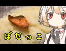ぼだっこ【ナースロボ】