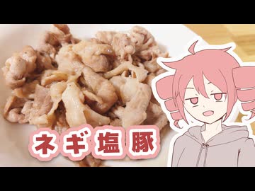 ネギ塩豚【テトさんのテキトーひとりメシ】