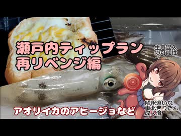 きりたんの釣果酒肴禄　再リベンジアオリイカで酒を呑む