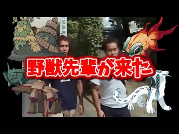 【MV】パオジアンが来た【規制対策版】