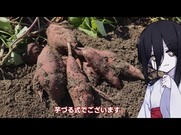クイズ！いなばの気持ち　 獲れたて秋の特別編【VOICEVOX劇場】