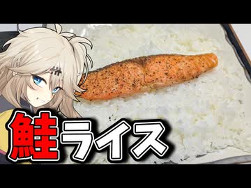 鮭ライスとお味噌汁だもんに！つむぎとひまり