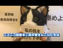 【あと63日】Neruさん20周年お祝いメッセージ