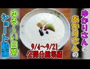 【VOICEROID劇場】ゆかりさんの日常　ショート動画 9/4～9/21公開分総集編