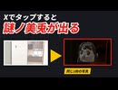 Xでタップすると絶対1人増える写真の仕組み【ずんだもん解説】