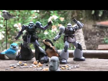 インドアガンプラ　HG ヴァッフとHG 高機動試作型ザクを作る