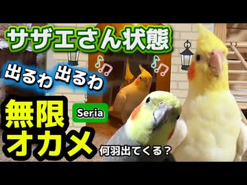 【劇的】セリア110円で豪邸リフォーム！サザエさん状態で無限に湧き出るオカメがカオスｗ #サザエさん状態