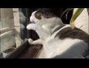 寝ほり