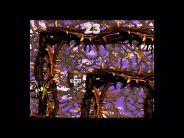 【実況】スーパードンキーコング2 ディクシー&ディディー #10