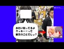 チラチラミルノ(東方)