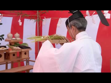 新嘗祭に献上する新米の稲刈り　佐賀県白石町からは16年ぶりに献上