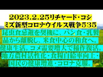 【2023年02月25日 ：『 リチャード・コシミズ「 Internet Lecture 」｟ 新型コロナウイルス戦争 ５３５ ｠｟ RK LIVE ｠｟ 改良版 ｠』】