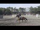 金ちゃん！大会デビュー