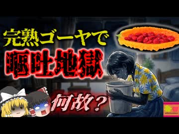 【2019】『嘔吐が止まらない地獄』お土産のお返しにもらった黄色いゴーヤ。ダイエットに良いと聞き、種の部分を食べていた女性を襲った地獄…『ククルビタシン中毒事件』を解説（ﾘﾒｲｸ