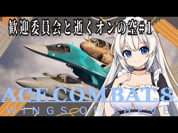 【ACE CONBAT ONLINE】歓迎委員会と逝くスクランブル発進