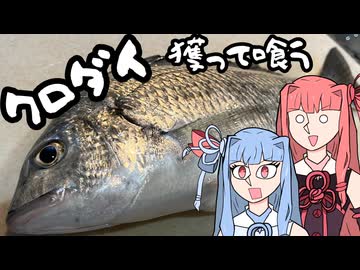 【獲って喰うコトノハ】キビレ