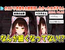 初めてのLive2D配信で誤操作で体がペラペラになってしまうペラ子さん