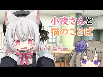 小夜さんと猫のことば 【小夜/SAYO】