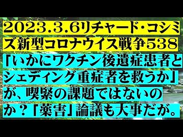 【2023年03月06日 ：『 リチャード・コシミズ「 Internet Lecture 」｟ 新型コロナウイルス戦争 ５３８ ｠｟ RK LIVE ｠｟ 改良版 ｠』】