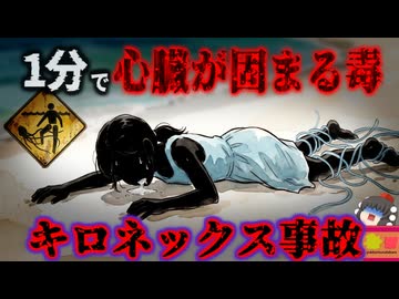 【2006】『1分で心臓を止めるクラゲ』海水浴に訪れた少女が突然倒れ、そのまま死亡。足には大量の「透明な糸」…その正体は世界一危険と言われる猛毒クラゲだった『キロネックスフレッケリ事故』をきめぇ丸解説