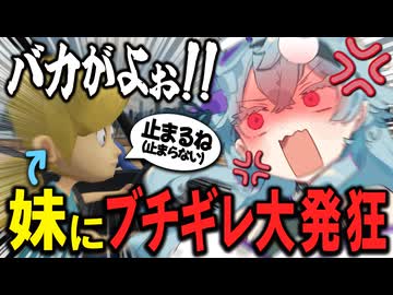 【ブチギレ】助言を聞かないガンギマリ妹と、質の悪い罵倒が止まらないDVうさぎの実技教習【切り抜き / 個人Vtuber】