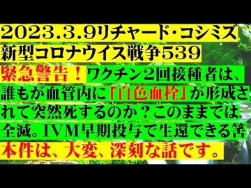 【2023年03月09日 ：『 リチャード・コシミズ「 Internet Lecture 」｟ 新型コロナウイルス戦争 ５３９ ｠｟ RK LIVE ｠｟ 改良版 ｠』】