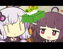 コケティッシュゆかりさん【VOICEROID劇場】