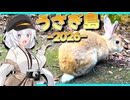 【離島旅行祭2026】うさぎと廃墟を求めて…離島へGO！【夏休み旅行祭2026】