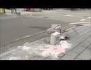 「クラブでシャンパンを飲んだ」パトカー追跡から逃走し事故　酒気帯び運転の疑いで２０歳男逮捕