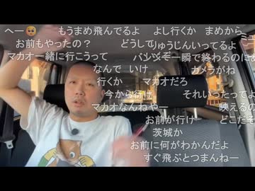 【バンジーの鬼『ミュート』さんからのアドバイス】ミュート「配信者なら竜神バンジーの方へ行くべき」「竜神は手に携帯を固定して飛べる」